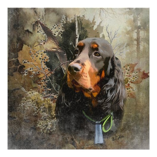 Gordon Setter Fotodruck (Vorne)