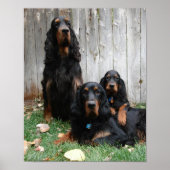 Gordon Setter Generationen Canvas Print Poster (Vorne)