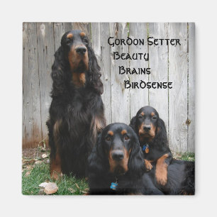 Gordon Setter Generationen Magnet