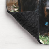 Gordon Setter Generationen Mousepad (Ecke)