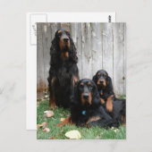 Gordon Setter Generationen Postkarte (Vorne/Hinten)