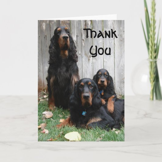 Gordon Setter Generationen Vielen Dank Note Card Dankeskarte (Vorderseite)