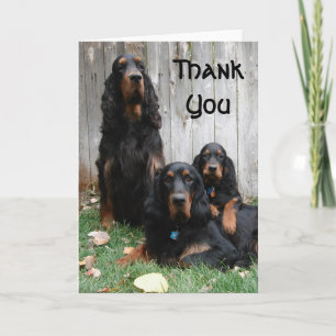 Gordon Setter Generationen Vielen Dank Note Card Dankeskarte