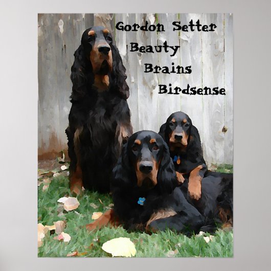 Gordon Setter Generationen Zeichnen Poster (Vorne)