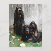 Gordon Setter Generations Painting Postcard Postkarte (Vorderseite)