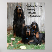 Gordon Setter Generations Poster (Vorne)