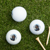 Gordon Setter Golfball (Insitu Gras)