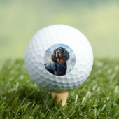 Gordon Setter Golfball (Insitu T-Shirt)
