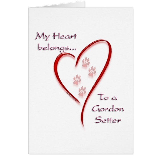 Gordon Setter Heart Belongs (Vorne)