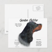 Gordon Setter History Design Postkarte (Vorne/Hinten)