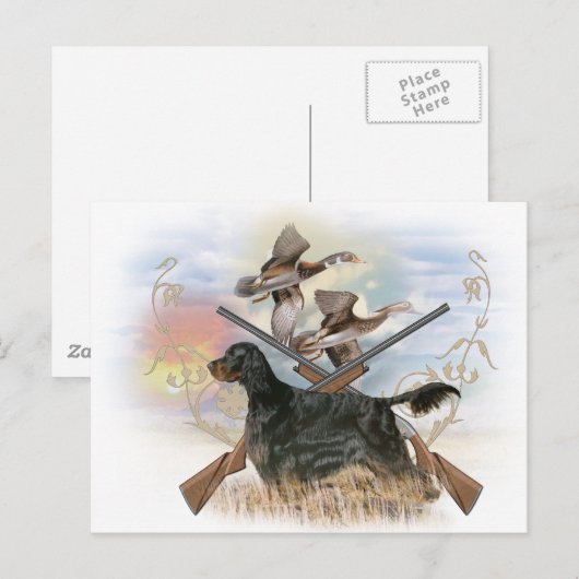 Gordon Setter Hunts Postkarte (Vorne/Hinten)