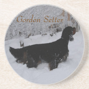 Gordon Setter im Schneesturm-Coaster Getränkeuntersetzer