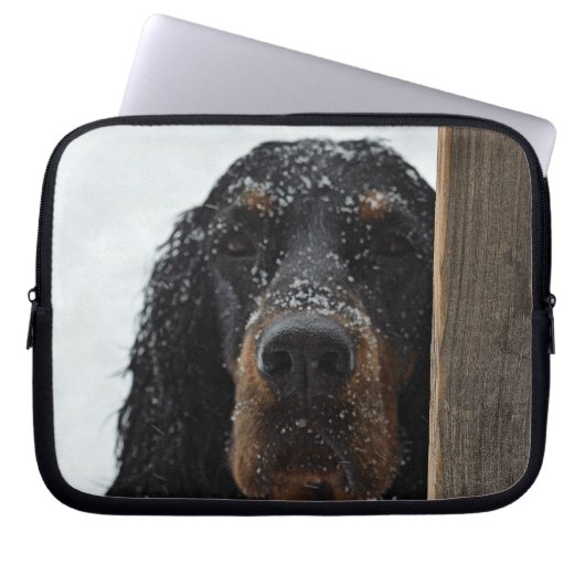 Gordon Setter im Winter Laptop-Sieb Laptopschutzhülle (Vorderseite)