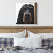 Gordon Setter im Winter ummantelte Canvas Leinwanddruck (Insitu (Schlafzimmer))