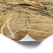 Gordon Setter , Jagdband für Enten Poster (Ecke)