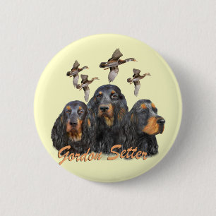 Gordon Setter jagt Fasane Button