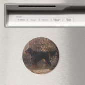 Gordon Setter Magnet (In Situ (Geschirrspüler))
