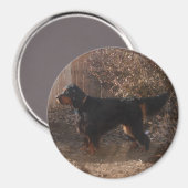 Gordon Setter Magnet (Vorderseite/Rückseite)