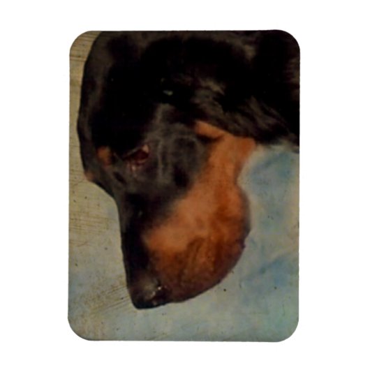 Gordon Setter Magnet (Vertikal)