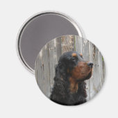 Gordon Setter Magnet (Vorderseite/Rückseite)