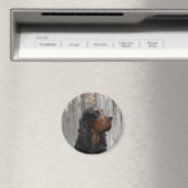 Gordon Setter Magnet (In Situ (Geschirrspüler))