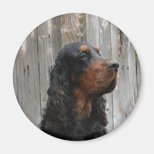 Gordon Setter Magnet (Vorne)