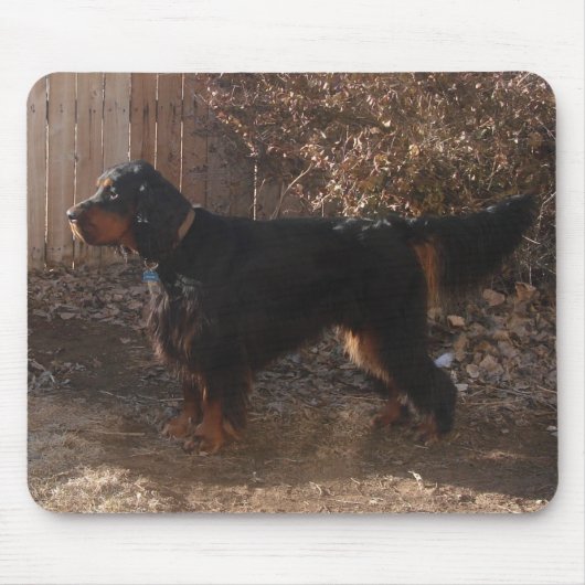 Gordon Setter Mousepad (Vorne)