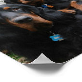 Gordon Setter Pals Canvas Print Poster (Ecke)