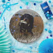 Gordon Setter Pappteller (Party)