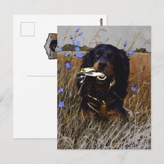 Gordon Setter Postkarte (Vorne/Hinten)