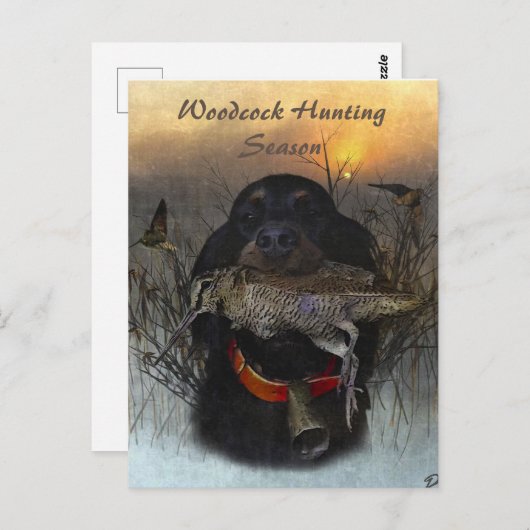 Gordon Setter Postkarte (Vorne/Hinten)