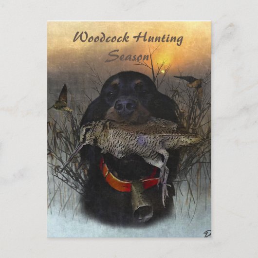 Gordon Setter Postkarte (Vorderseite)