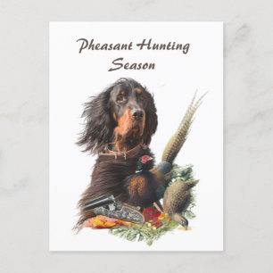 Gordon Setter Postkarte