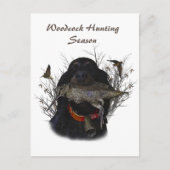 Gordon Setter Postkarte (Vorderseite)