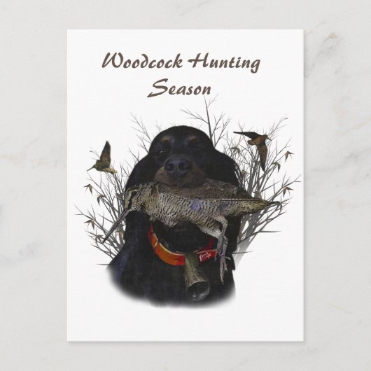 Gordon Setter Postkarte (Vorderseite)