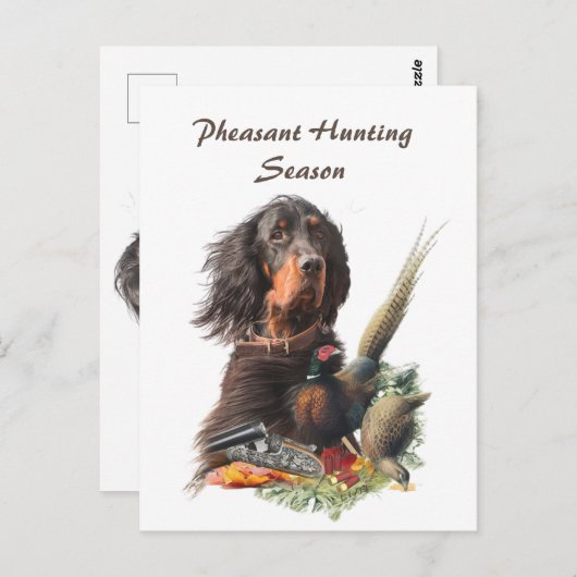 Gordon Setter Postkarte (Vorne/Hinten)