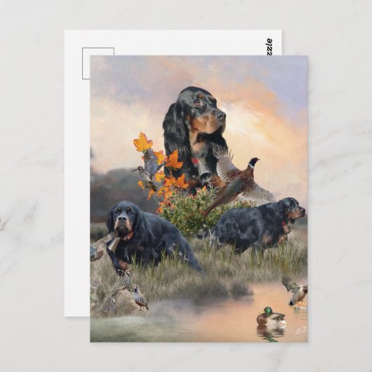 Gordon Setter Postkarte (Vorne/Hinten)