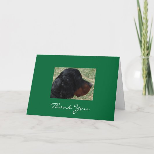Gordon Setter Puppy danke (Vorderseite)