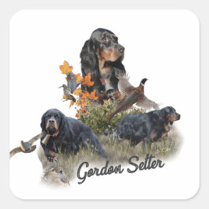 Gordon Setter Quadratischer Aufkleber