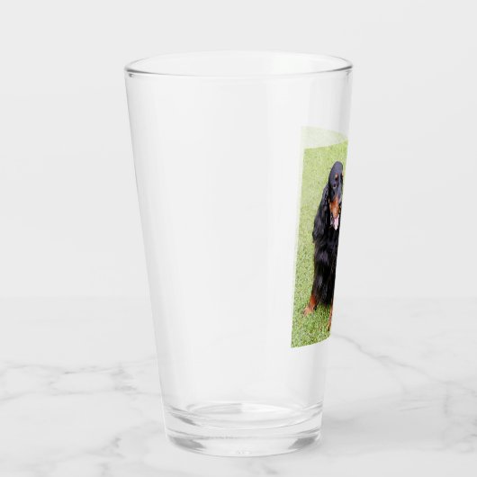 Gordon Setter sitzend Glas (Rechts)