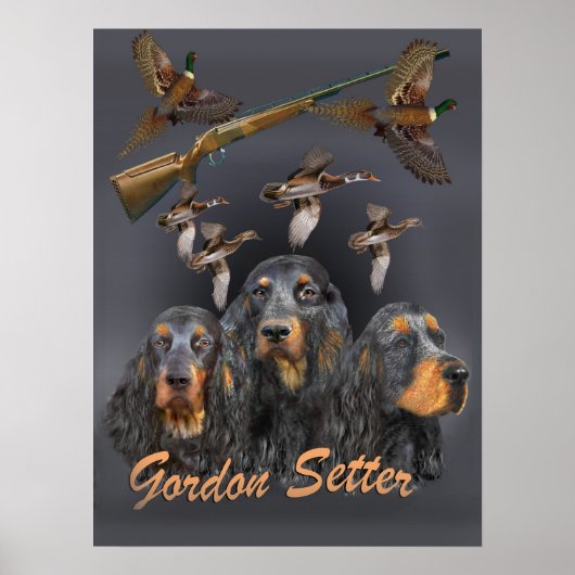 Gordon Setter trio jagt Poster (Vorne)