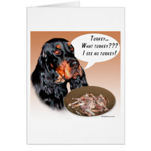 Gordon Setter Türkei