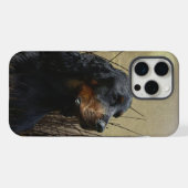 Gordon Setters , Vogelleidenschaft , Kunst iPhone Hülle (Rückseite (Horizontal))