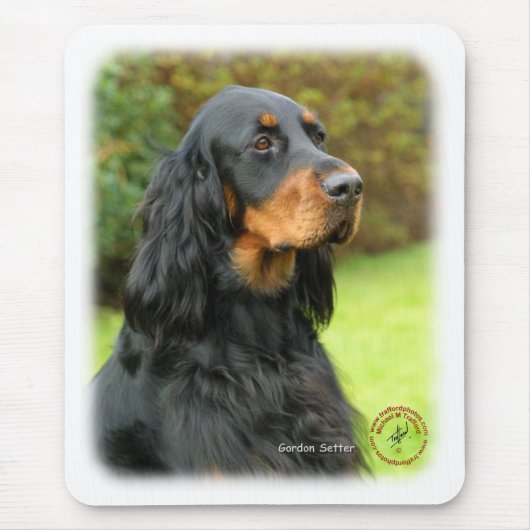 Gordon-Setzer 9T012D-135 Mousepad (Vorne)