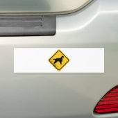 Gordon-Setzer Autoaufkleber (Auf Auto)