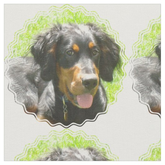 Gordon-Setzer-Hund Stoff (Nahaufnahme)