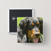 Gordon-Setzer-HundeButton Button (Vorne & Hinten)