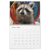 Gordon Wildlife Raccoon Kalender 2025 (Jan 2026)