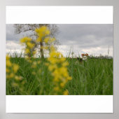 Gordy Poster (Vorne)