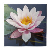 GORGEÖS PALENPINK LOTUS BLOSSOM MIT WASSERDROPS FLIESE (Vorderseite)